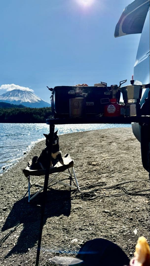 車用 タイヤテーブル メッシュ テーブル 折りたたみ [並行輸入品]