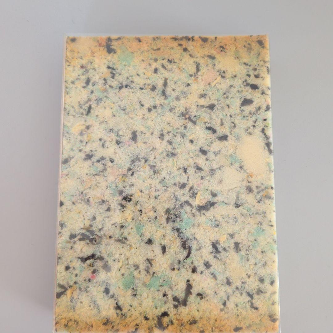 レア レム・コールハース ア・カインド・オブ・アーキテクト