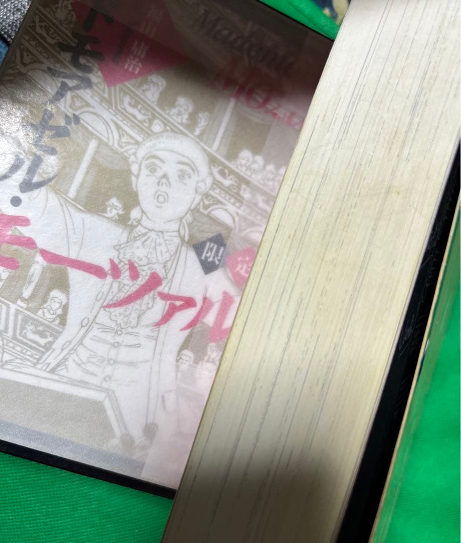 【限定版】マドモアゼル・モーツァルト / 福山庸治