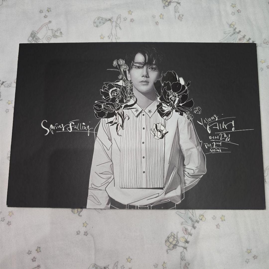 美品 YESUNG Spring Falling CD 写真集 黒 トレカ付き