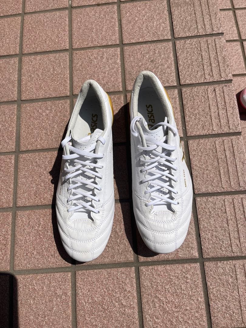 シューズ ASICS DS LIGHT X-FLY4