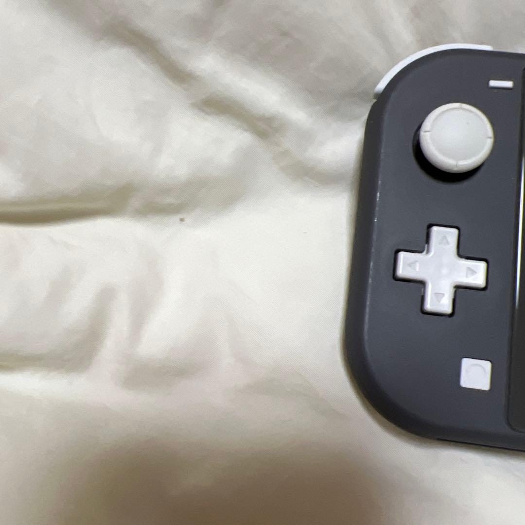 Nintendo Switch Lite グレー 本体+収納ケース付き