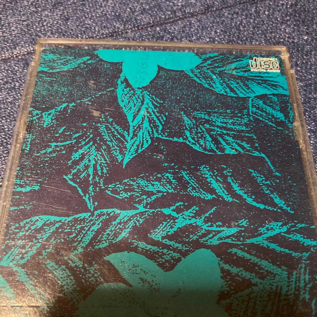 BISCAYNE BLUE」（ビスケインブルー）高中正義　8センチ8cmシングル