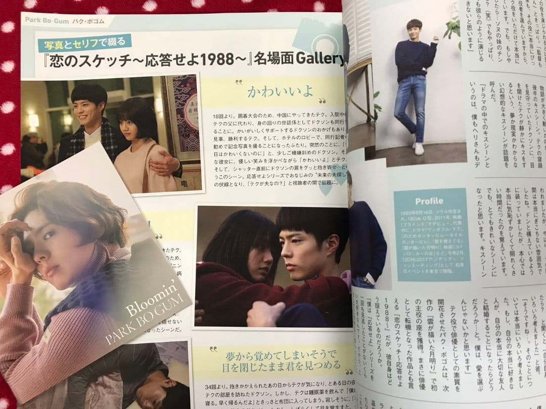 パク・ボゴム　＋　IU 「おつかれさま」