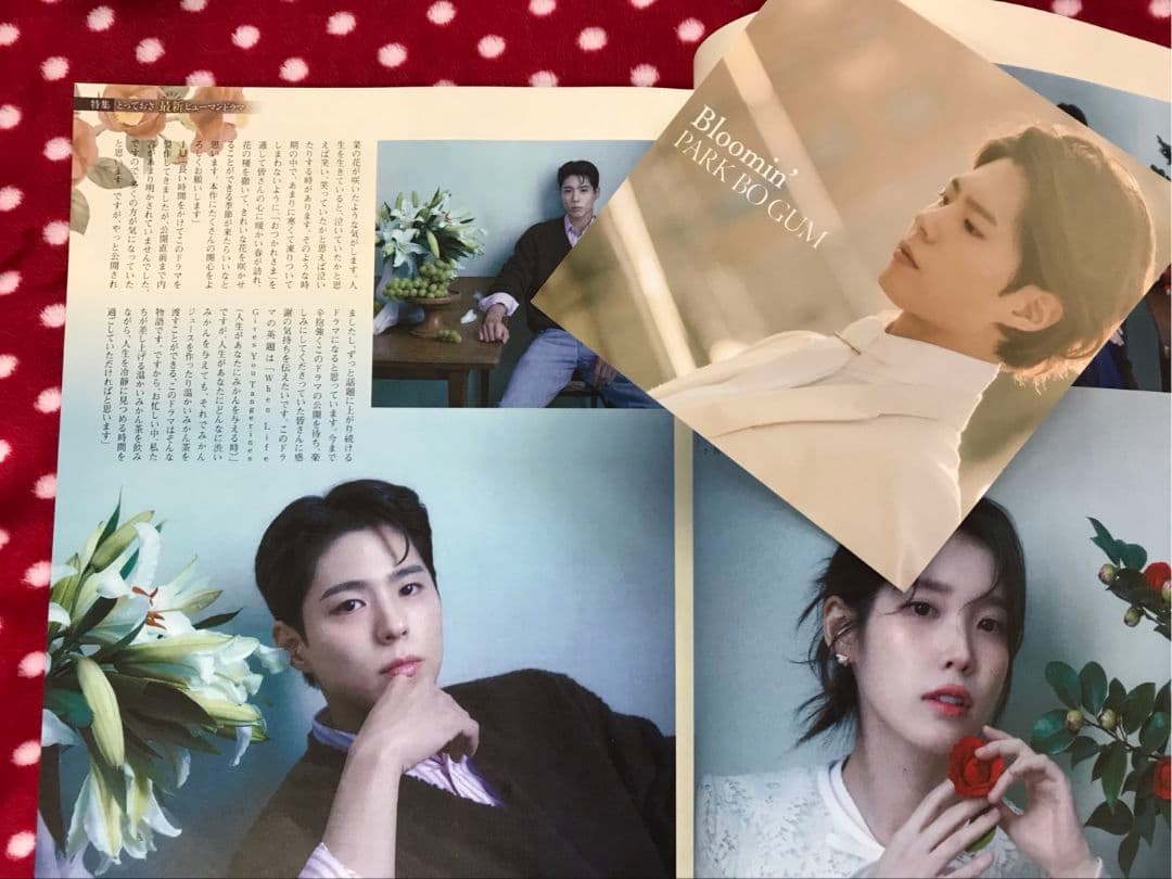 パク・ボゴム　＋　IU 「おつかれさま」