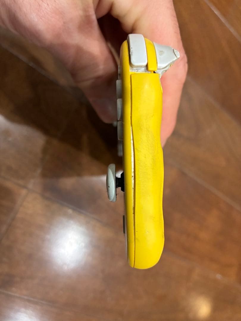 動く点Pの周りを走る兄弟  Nintendo Switch Lite