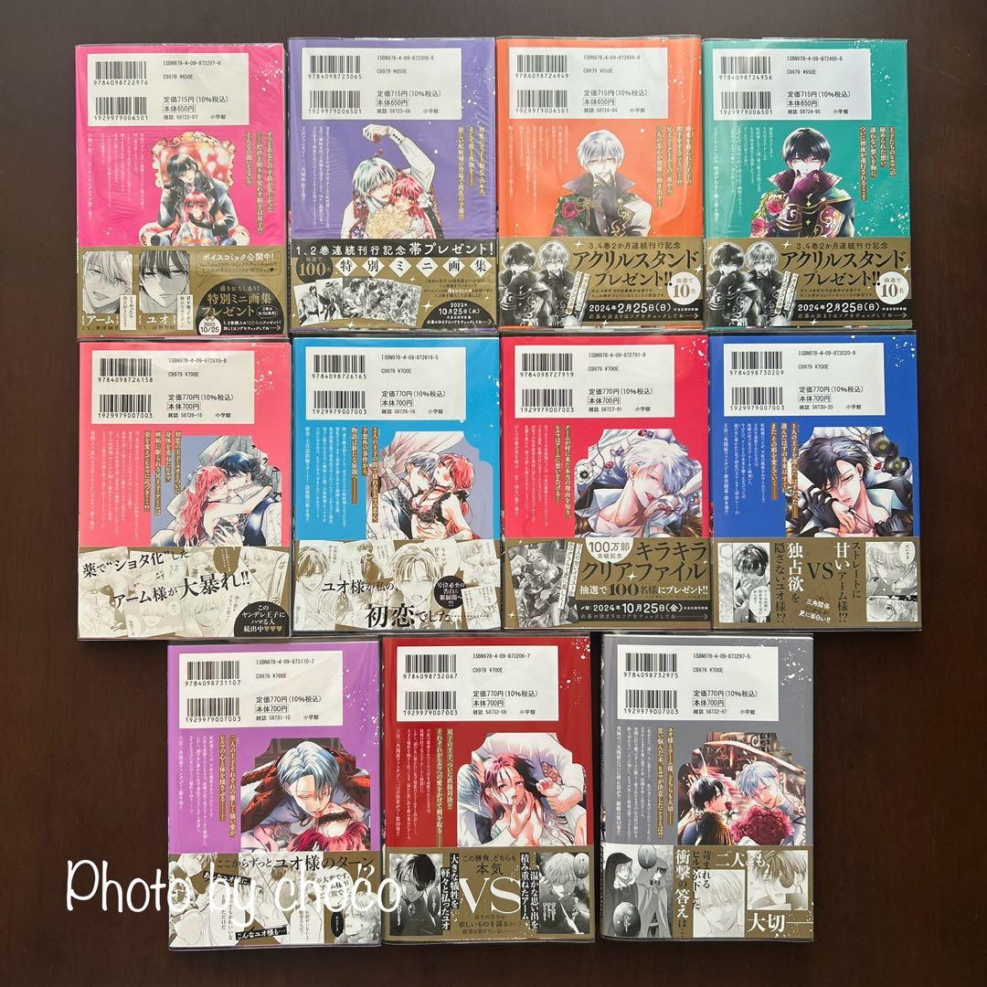 夜伽の双子　贄姫は二人の王子に愛される 1〜11巻（既刊全巻）