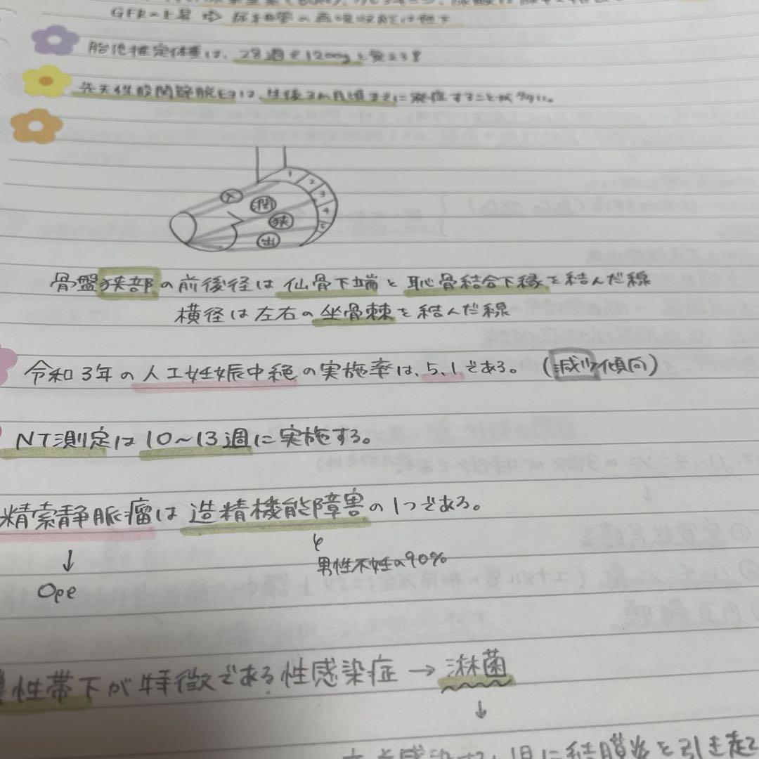 専用ページ　助産まとめノート