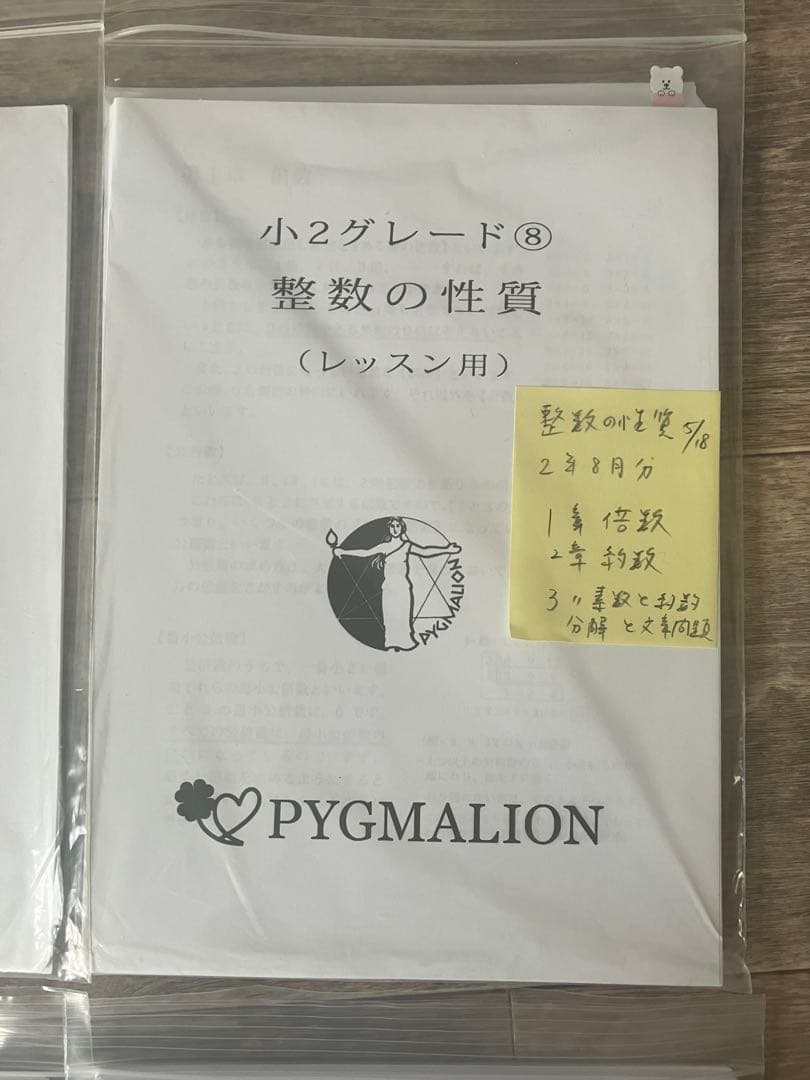 【美品・袋入】ピグマリオン グレード別10冊セット 図形の学習 分数 整数の性質