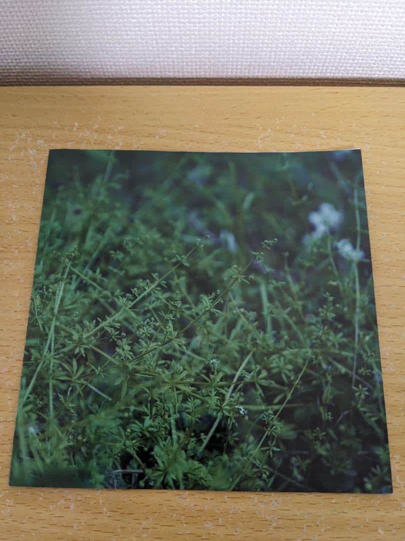 邦楽 chouchou merged syrups. clepsydra