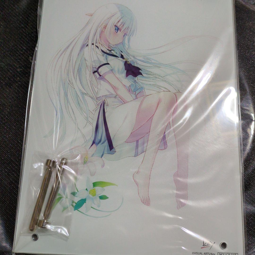 Summerpocket　サマポケ　REFLECTIONBLUE　初回限定版