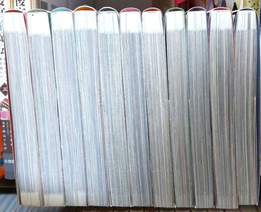 ある日、お姫様になってしまった件について 11