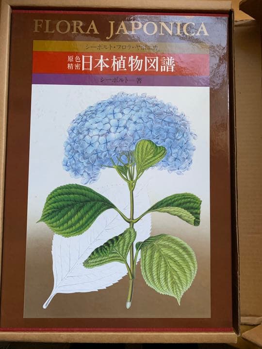 シーボルト「原色精密 日本植物図譜」