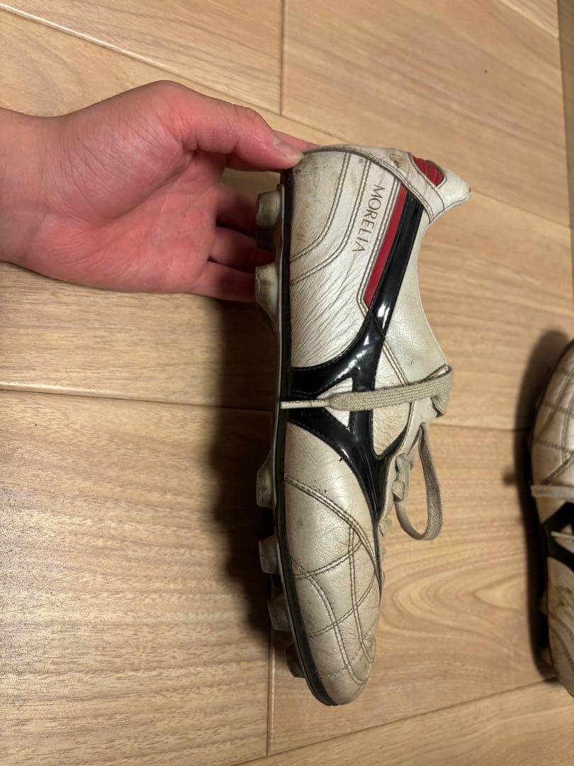 モレリア2JAPAN クロスステッチ26cm