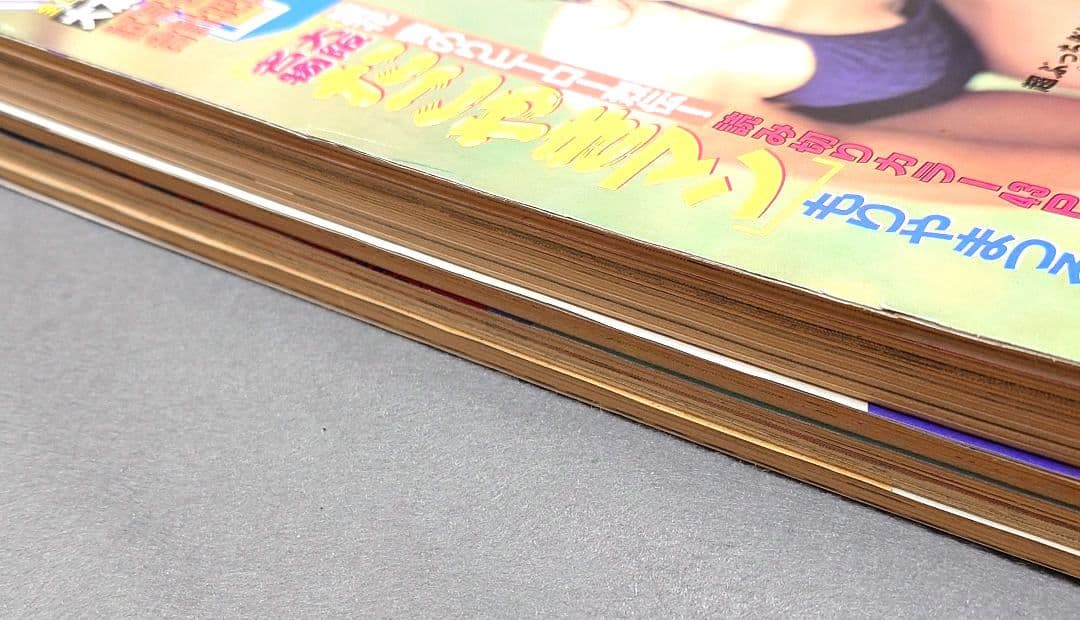 週刊ヤングマガジン1995年49&50号『攻殻機動隊』巻頭カラー&ピンナップ