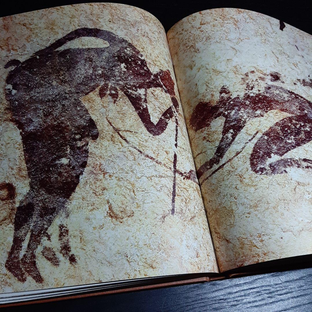 Tassili n'Ajjer タッシリ ナジェール・先史時代のアート（仏語版）