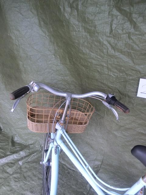 258：BRIDGESTONE　Cajuna　ジャンク　引取限定：埼玉県所沢市