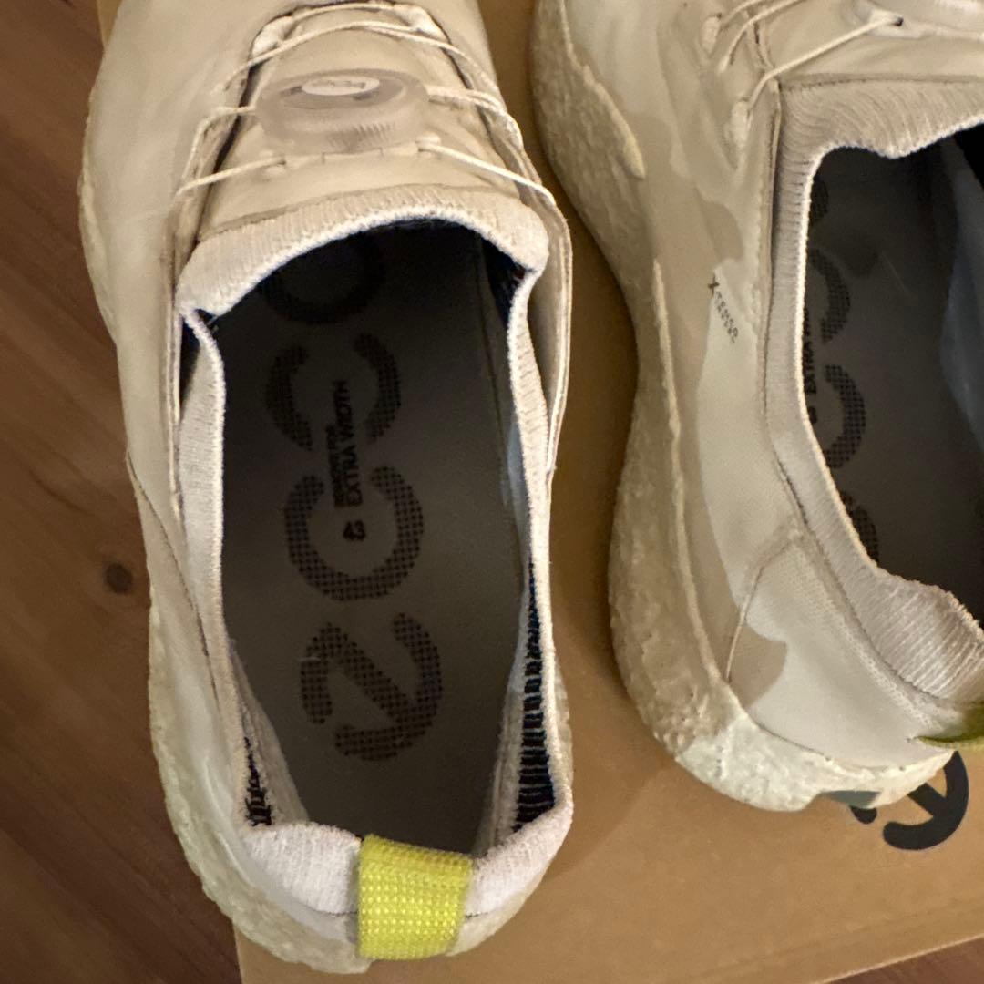 ECCO M GOLF BIOM H5 ホワイト 43