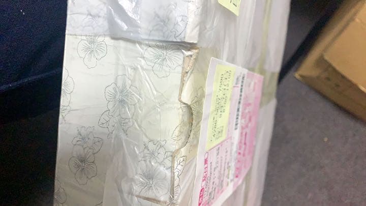 dead or alive xtreme 3 最強パッケージ