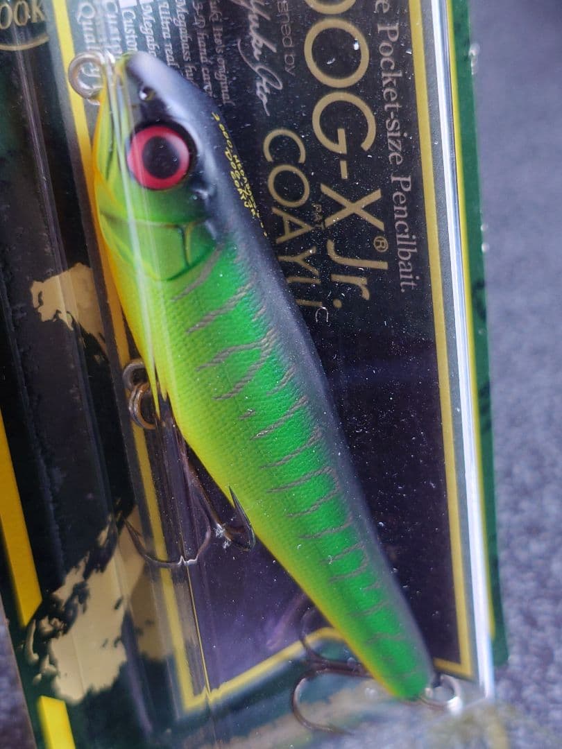 メガバス ito ドッグX ジュニア オールド'00 マットタイガー 新品未開封