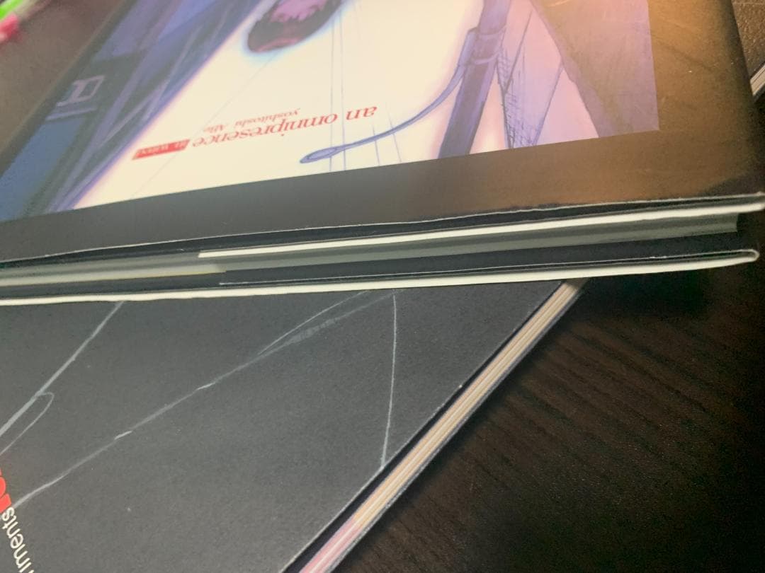 An omnipresence in wired　『lain』　画集 復刻版＋α