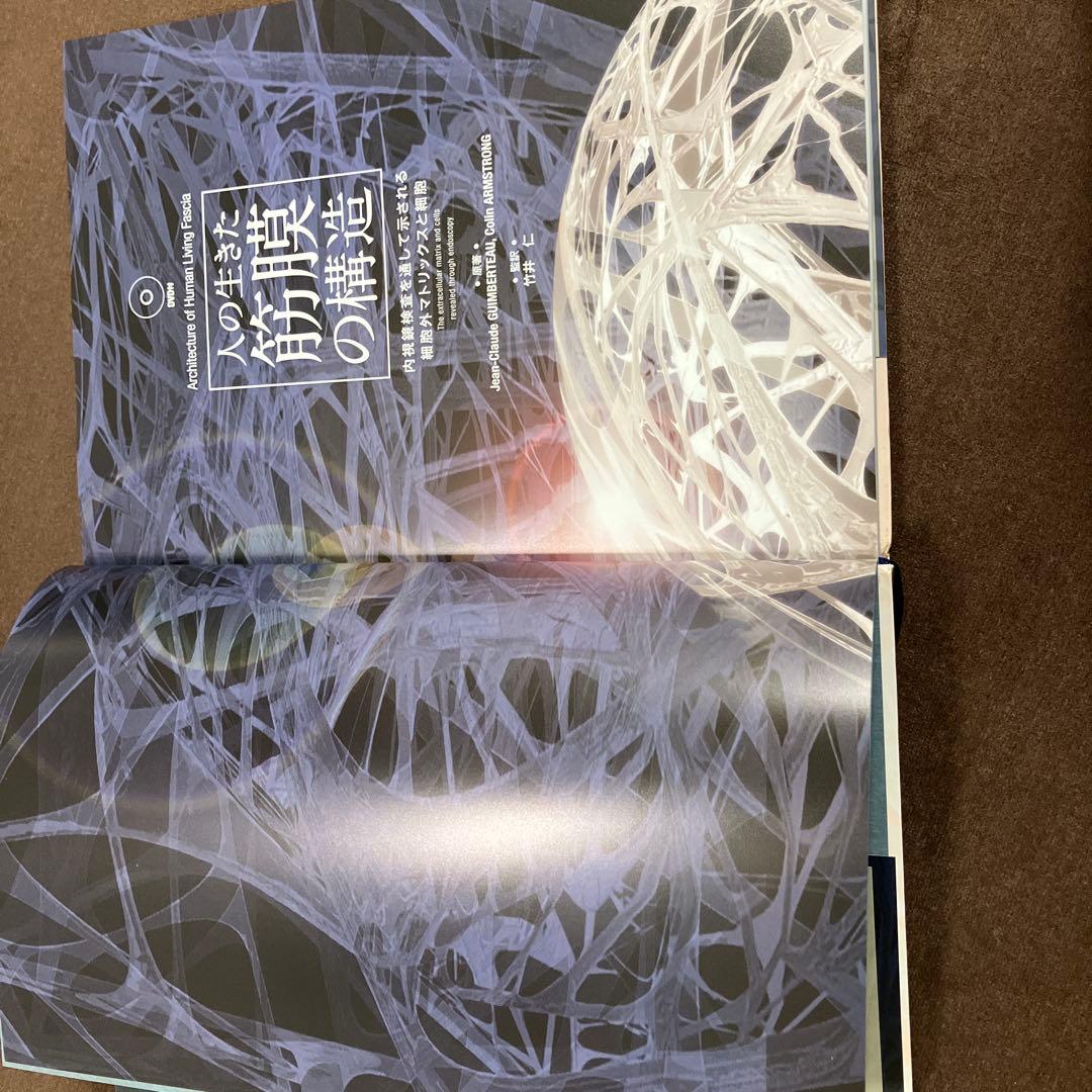 【ふみりん】人の生きた筋膜の構造