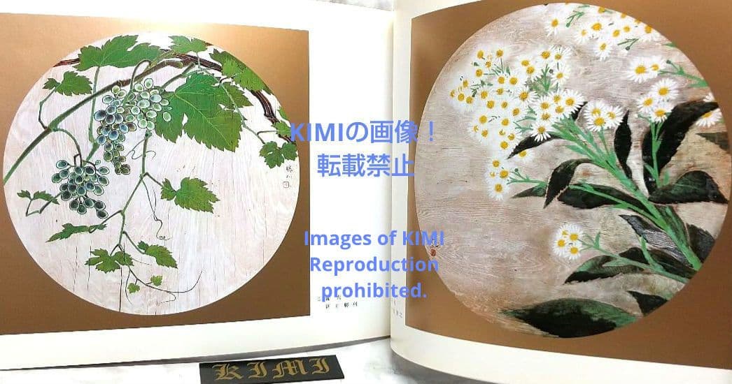 昭和の天井絵 当1976 麻寺 中之坊 松村実秀 本 当麻寺中之坊客殿 Art