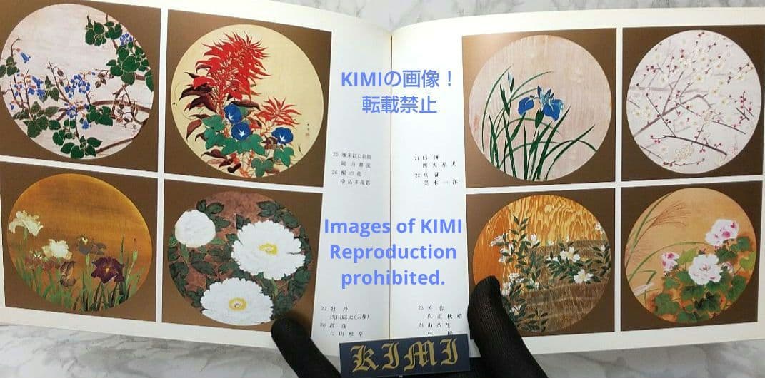 昭和の天井絵 当1976 麻寺 中之坊 松村実秀 本 当麻寺中之坊客殿 Art