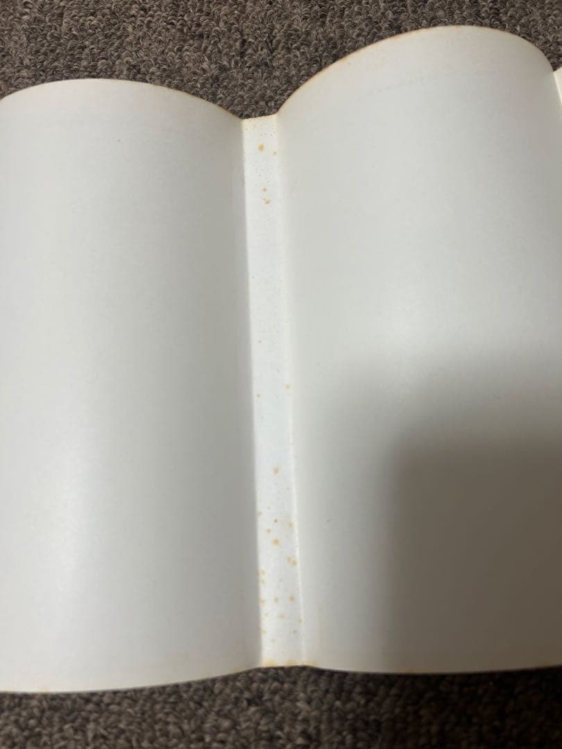 丘の上のベティ=アン　志摩ようこ　なかよしKC　初版