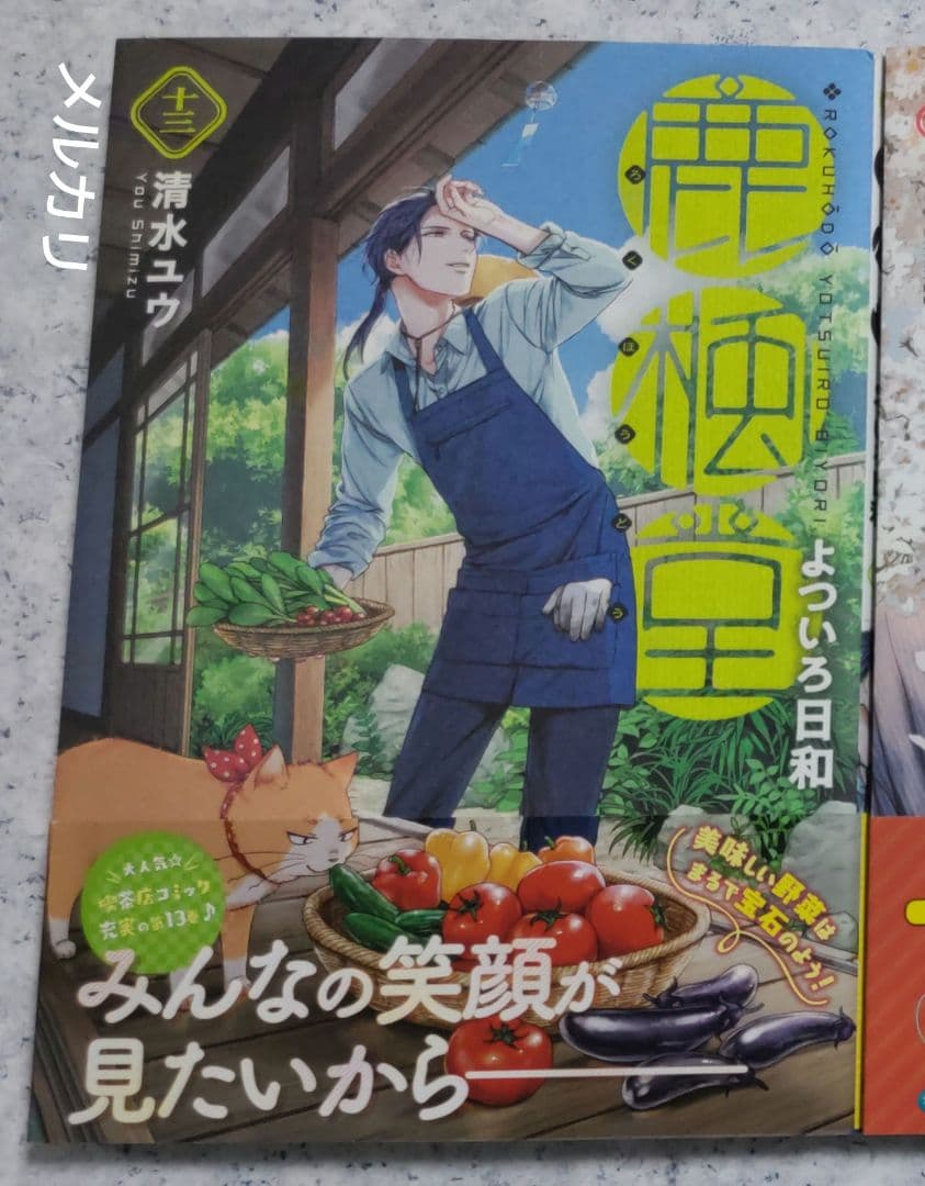 清水ユウ 鹿楓堂よついろ日和 1-21巻 初回限定ポストカード付 全巻購入品