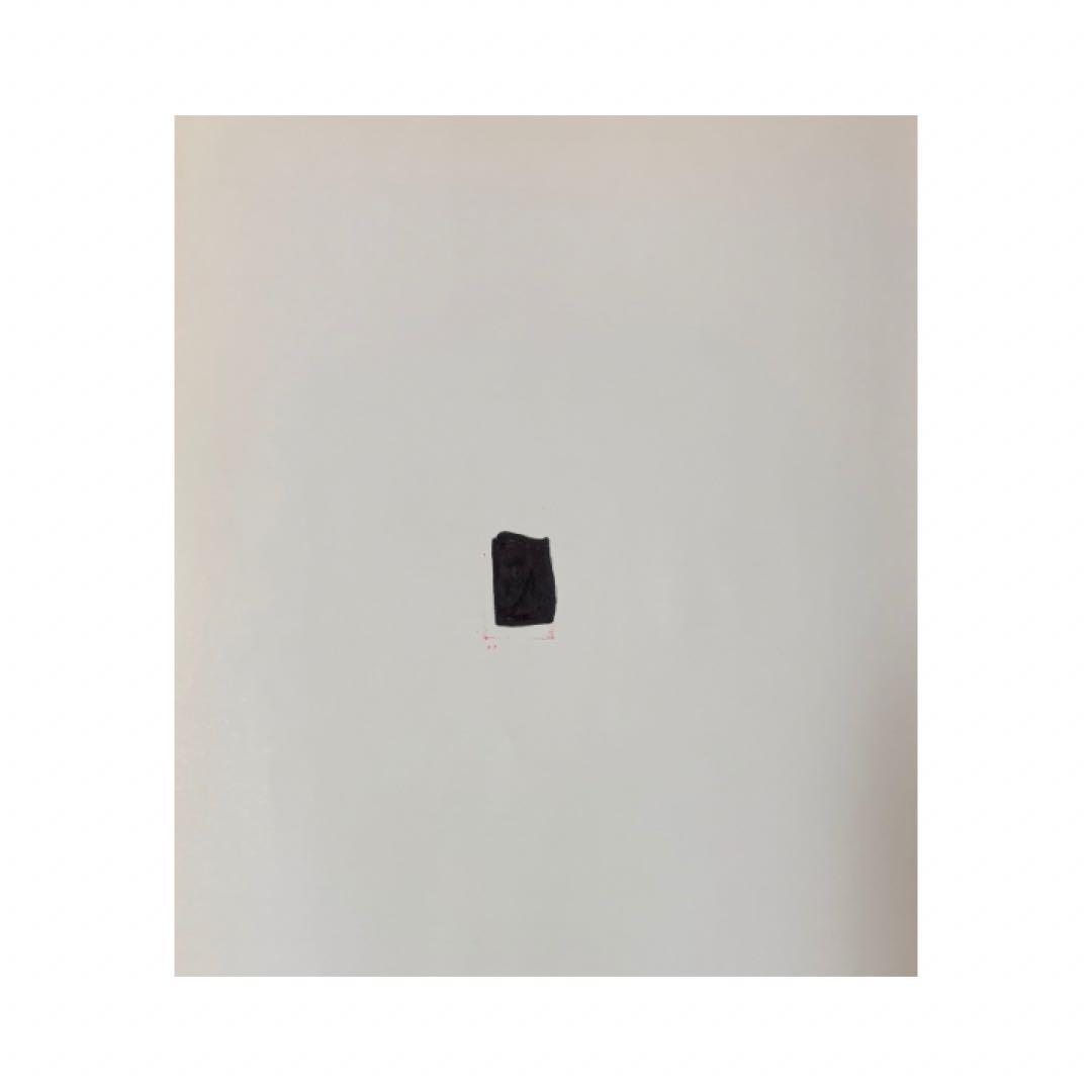 スモールアニマル インターナルメディスン　上下巻セット