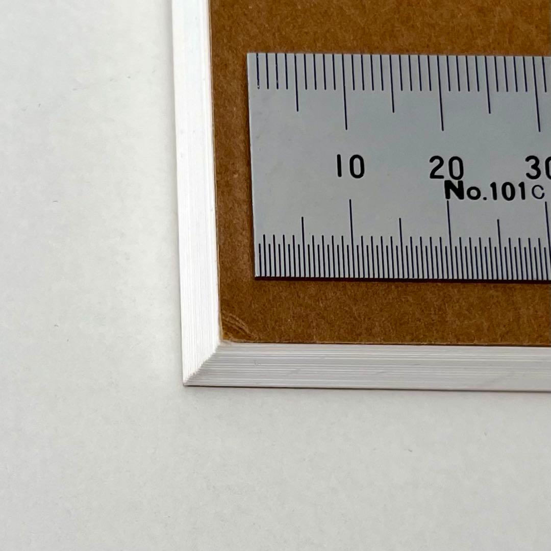 アレック・ソス 部屋についての部屋 東京都写真美術館 展覧会図録 完売初版表紙A