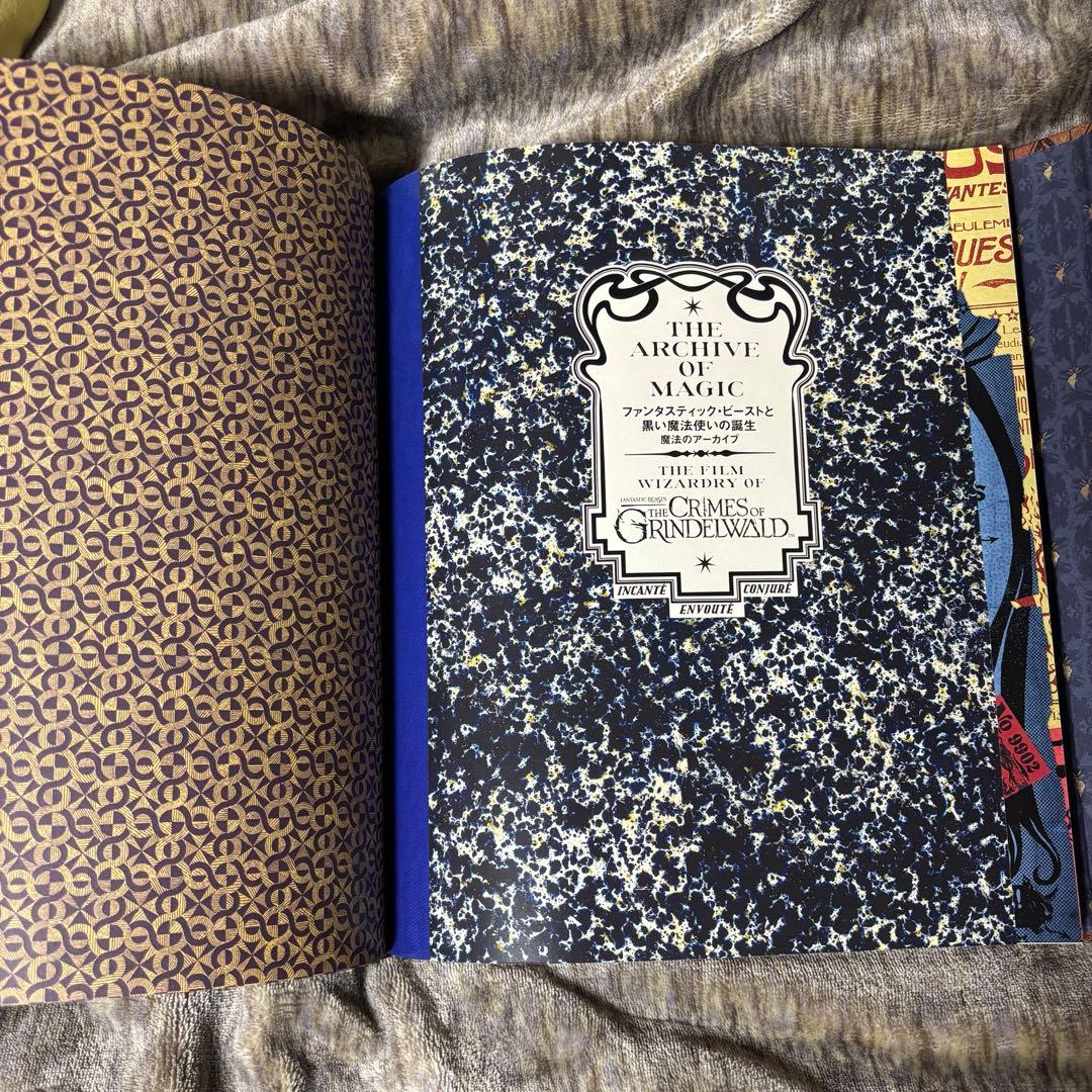 ファンタスティック・ビーストと黒い魔法使いの誕生　魔法のアーカイブ