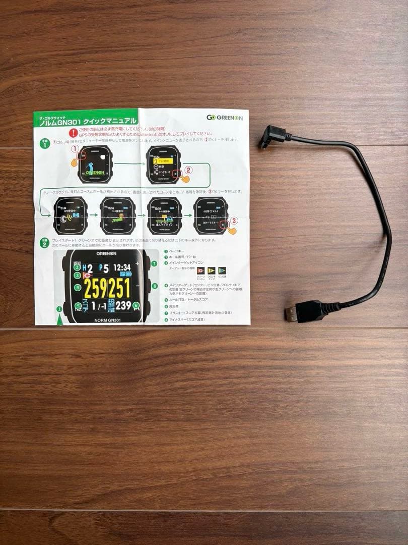 グリーンオン　GPSナビ　ノルムGN301 中古美品