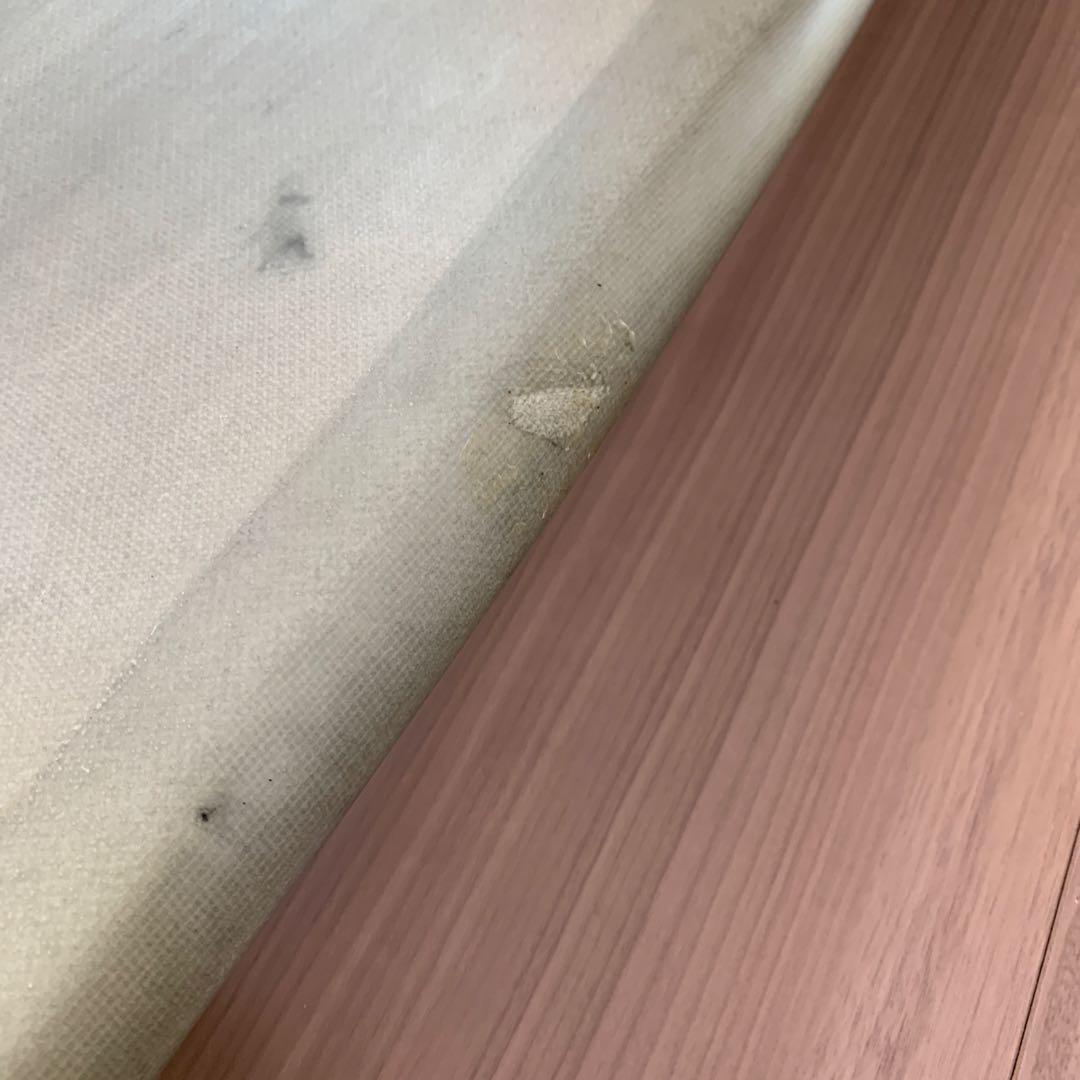 専用　サーフボード シングルフィン 5’5 伊良湖周辺手渡しのみ