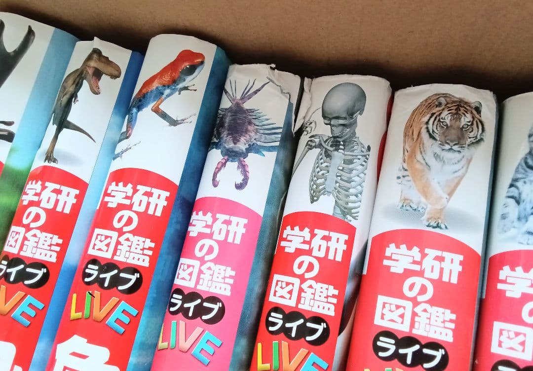 学研の図鑑ライブ 10冊＋講談社の図鑑 1冊 計11冊〔全巻DVD付き〕