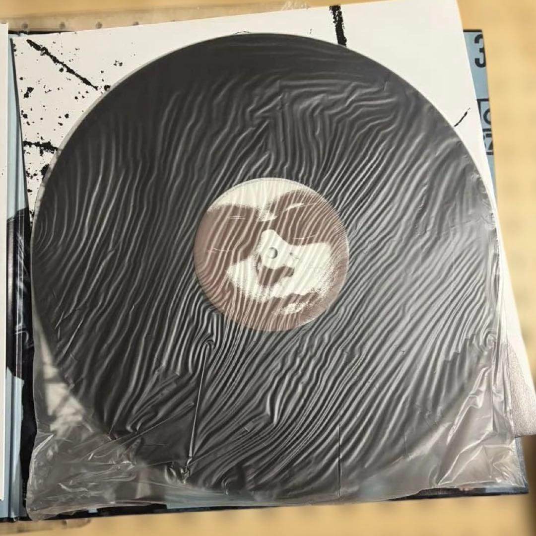 ミッシェルガンエレファント　12inch レコード