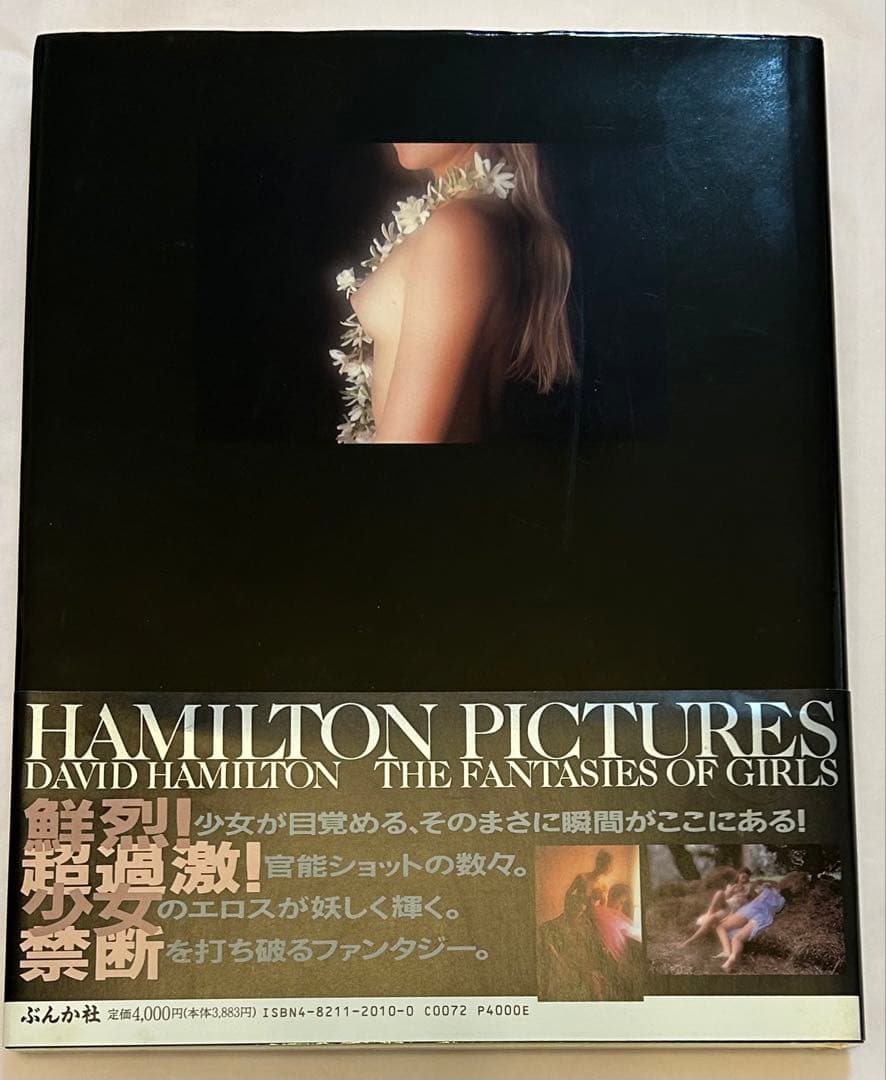 ハミルトン・ピクチャーズ David Hamilton 初版 帯、フライヤー付