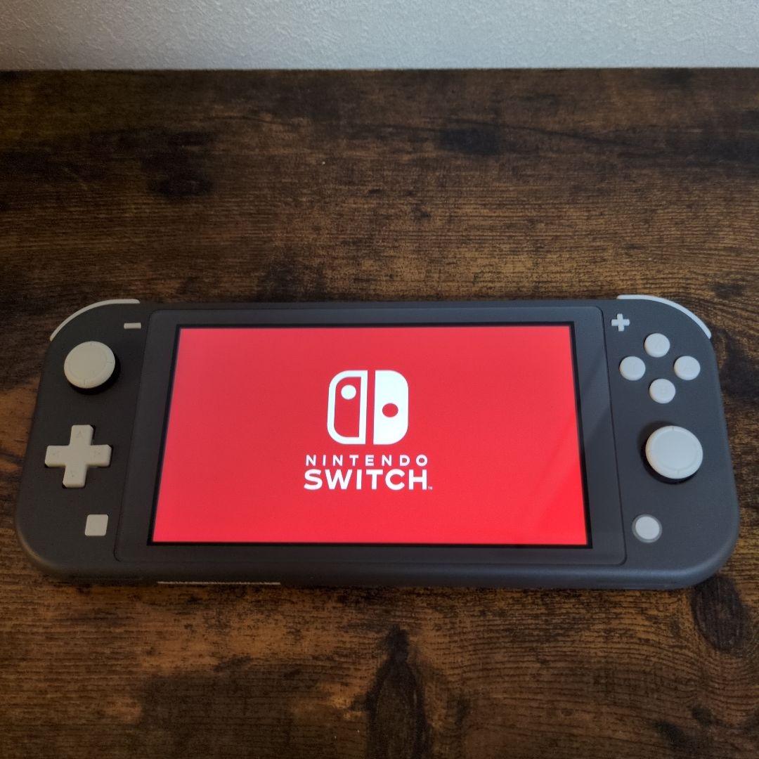 Switch Lite 本体 ケース付き
