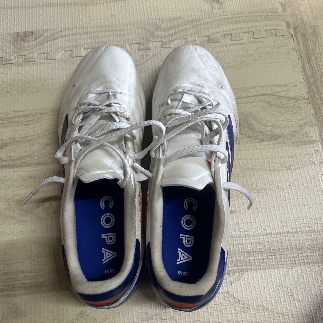 コパピュアhg/ag