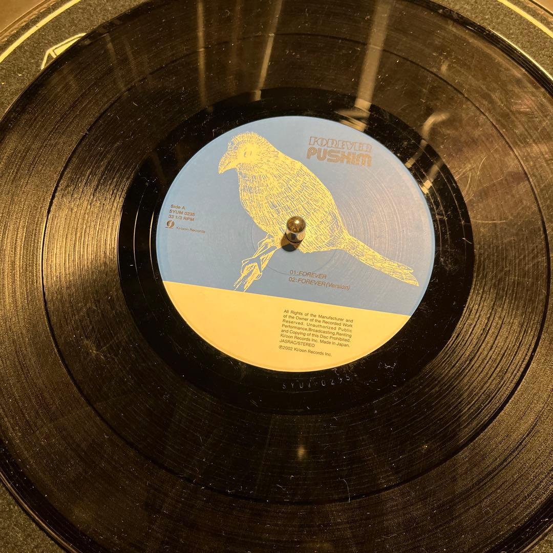 Pushim / Forever 希少　10インチ