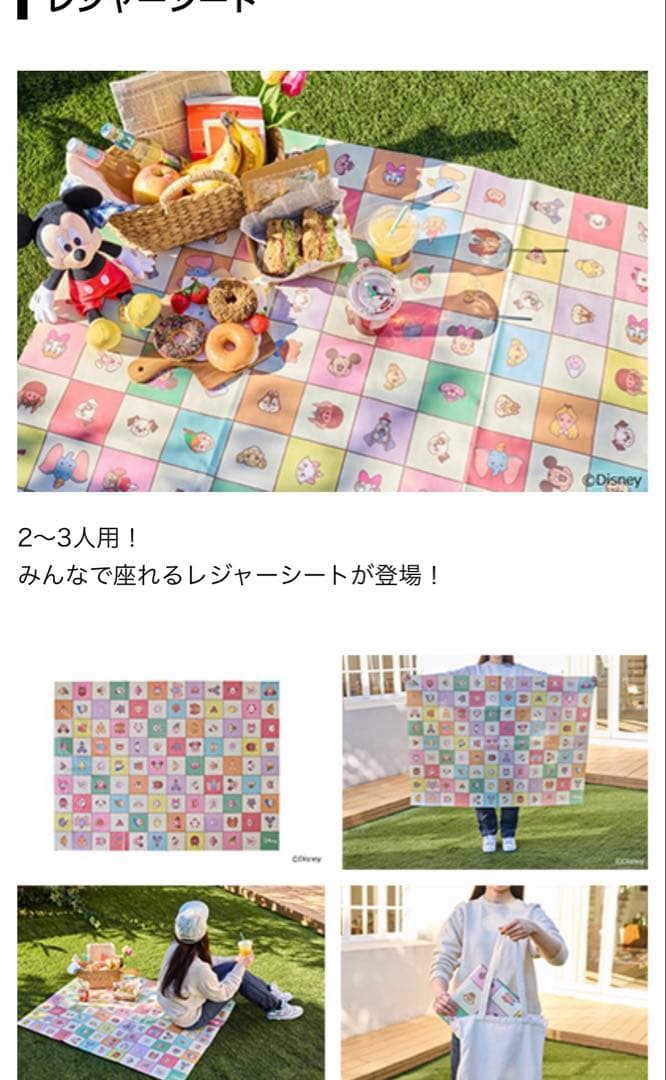 Disney Characters 折りたたみチェア＆レジャーシート