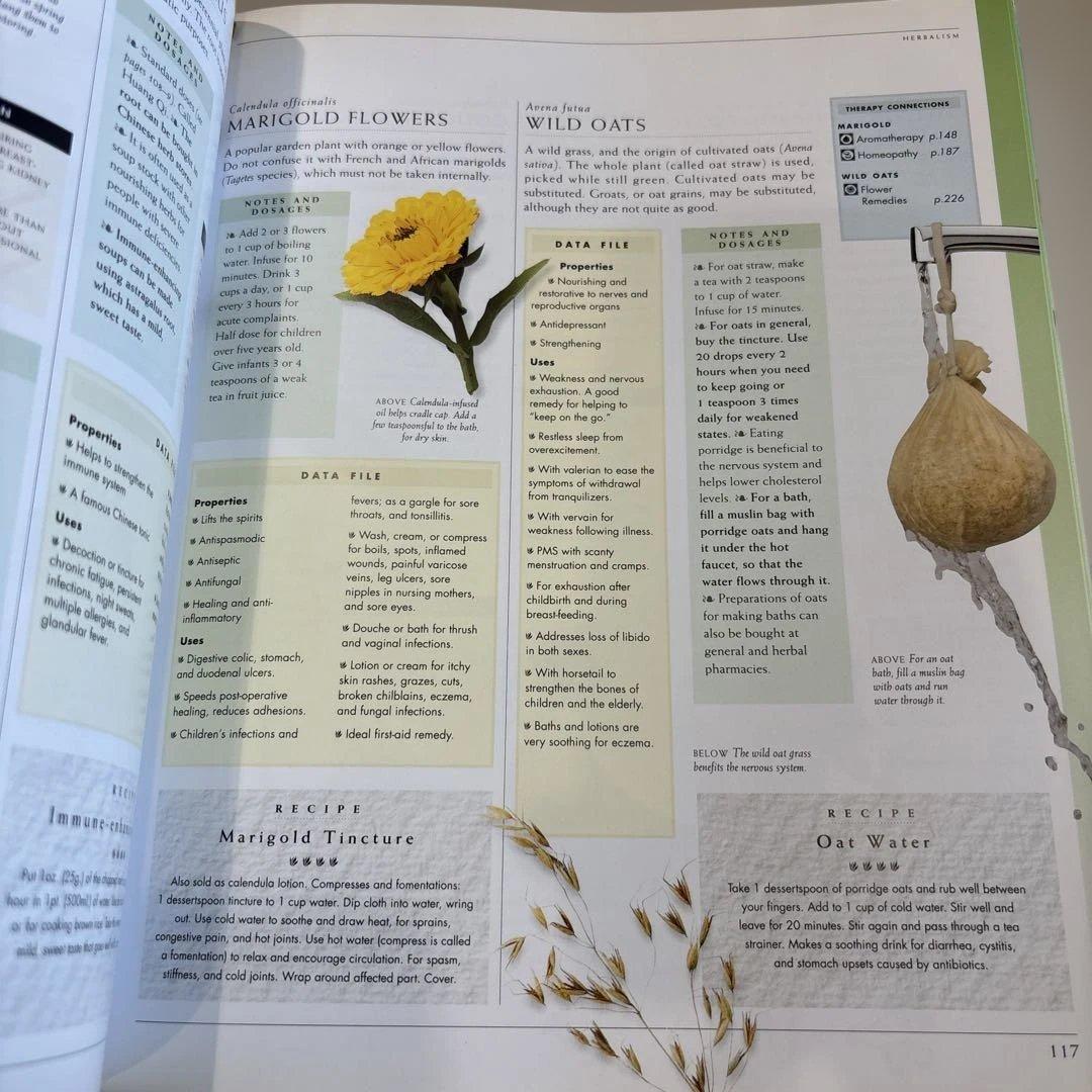 健康・医学 Healing Remedies - C. Norman Shealy