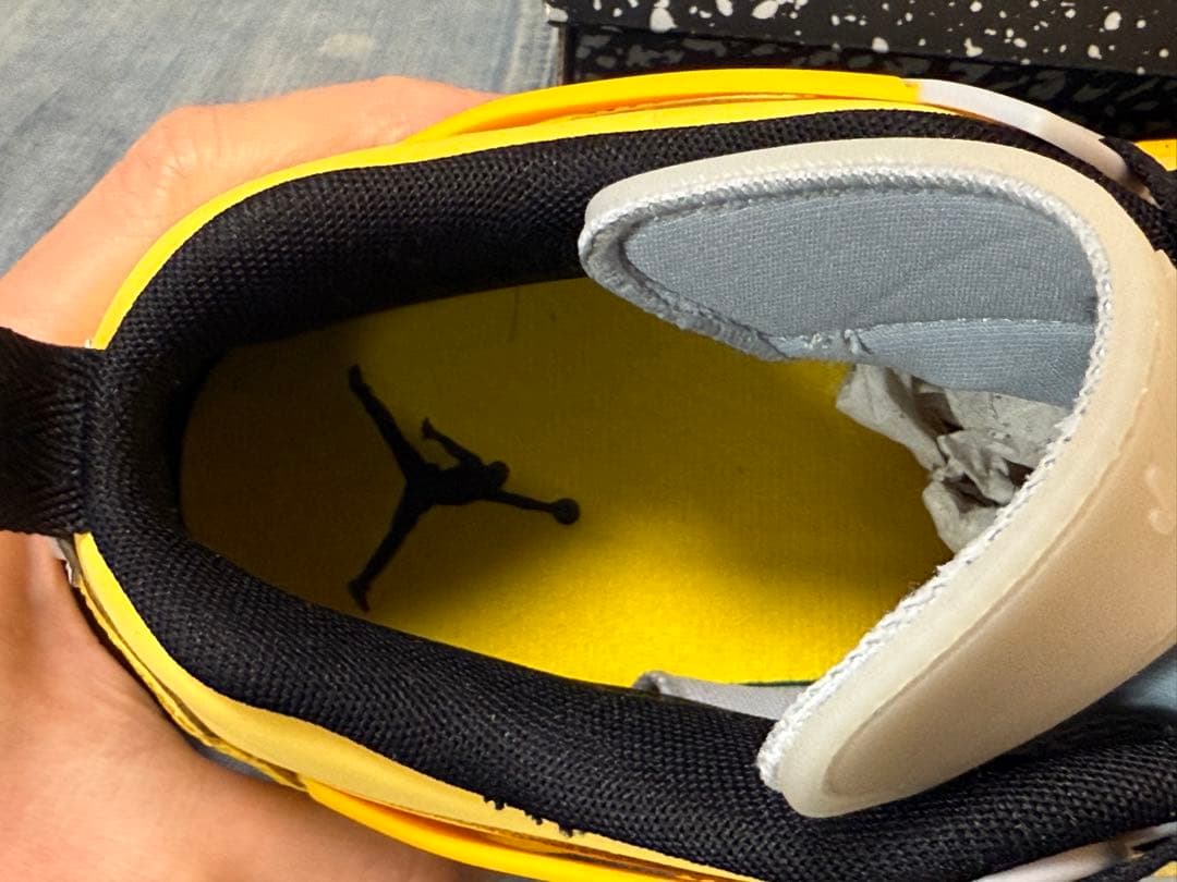 【新品未着用】Nike Jordan Spizike Low PRM