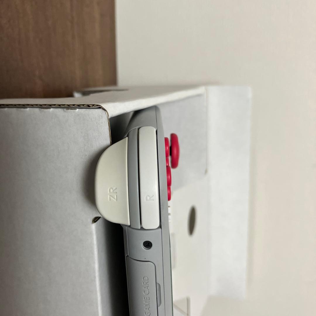 M*T様 Nintendo Switch Lite ザシアン・ザマゼンタ