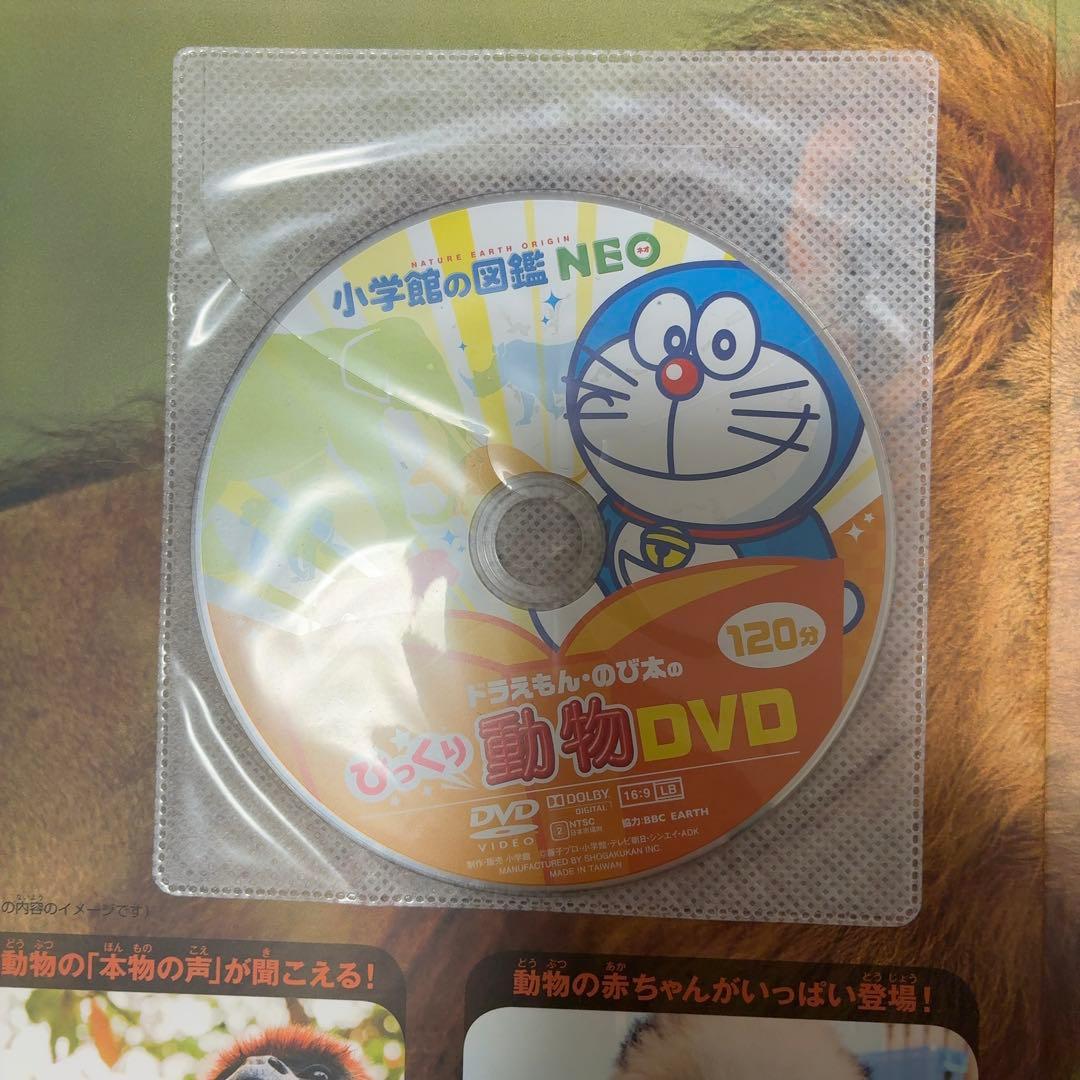 小学館の図鑑neo 11冊セット