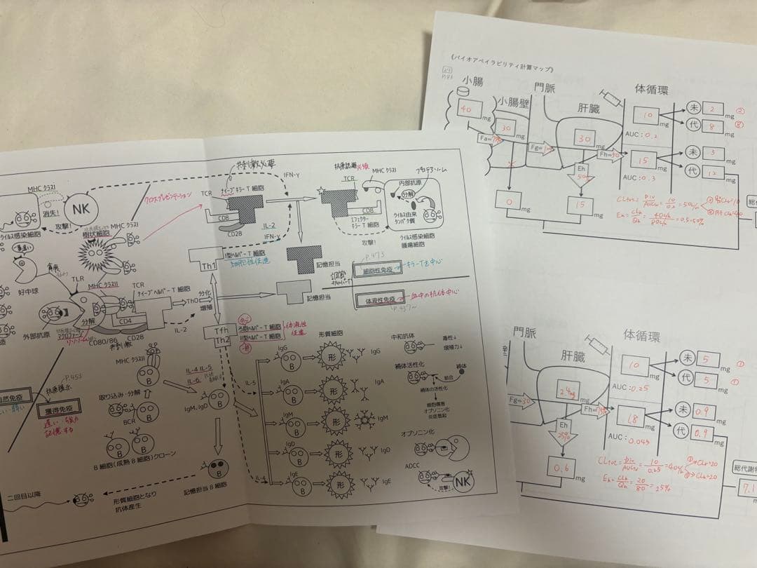 第110回薬剤師国家試験対策参考書　青本（改訂第14版）全教科セットとデータ