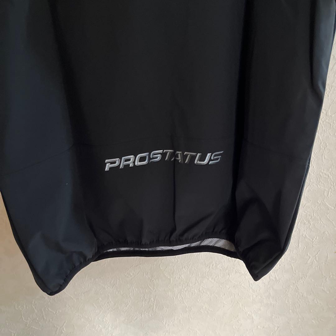 【限定品】ZETT（ゼット）プロステイタス 半袖ハーフジップ