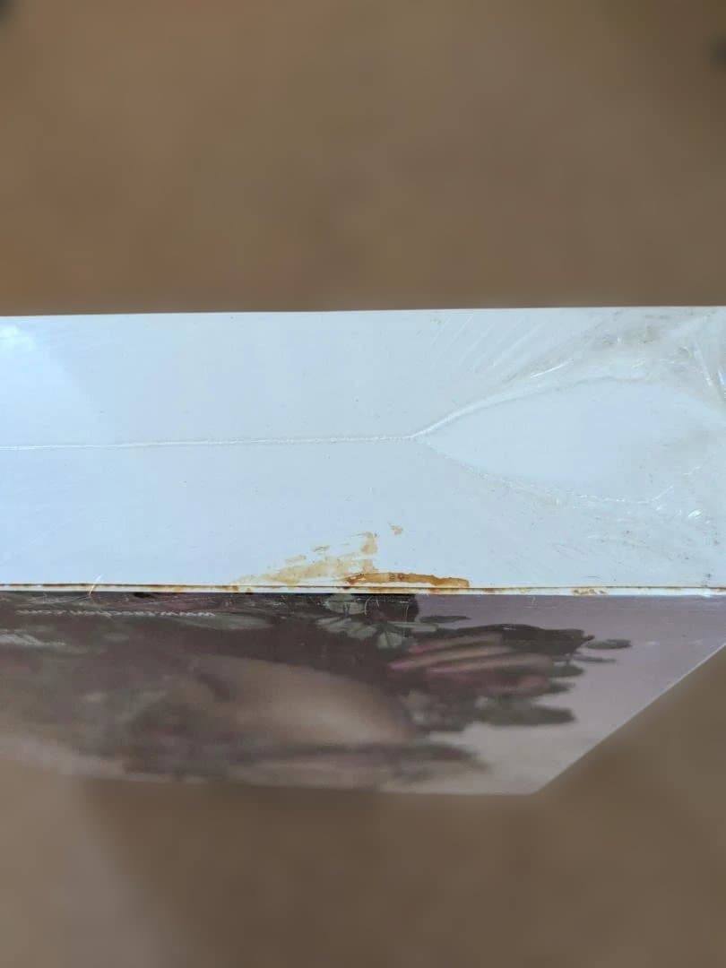 女性情報誌 100 Contemporary Fashion Designers