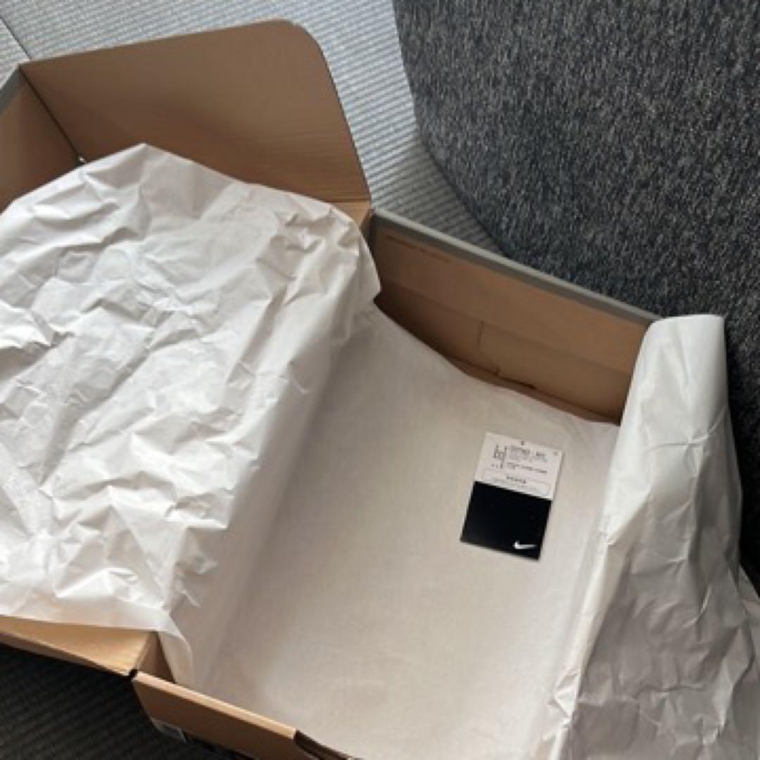 NIKE レブロン18 スペースプレイヤーズ